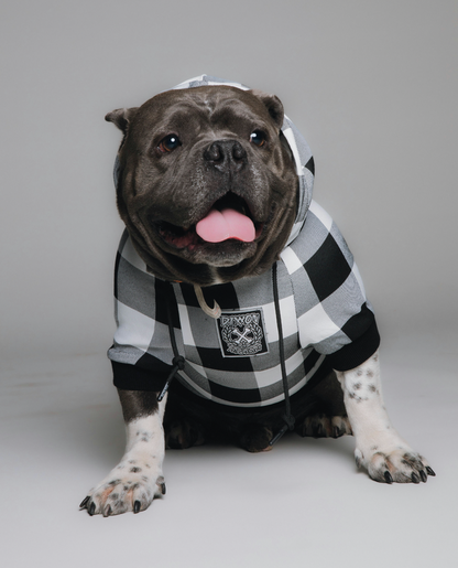 Gringo Dog Hoodie