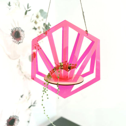 Hexagon Hanging Planter