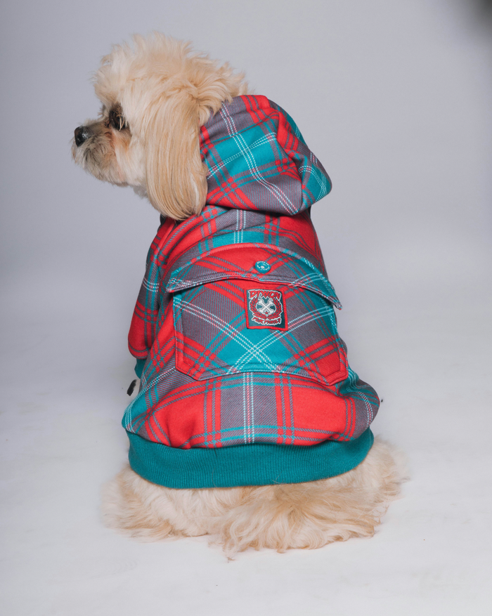 Jinglebells Dog Hoodie