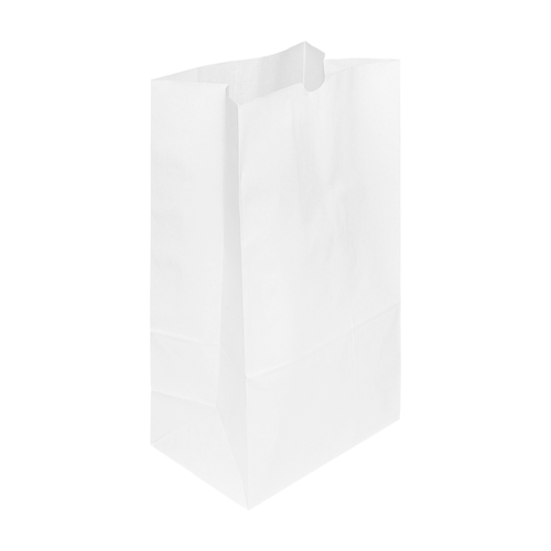 Karat Earth 20lb Paper Bag | White