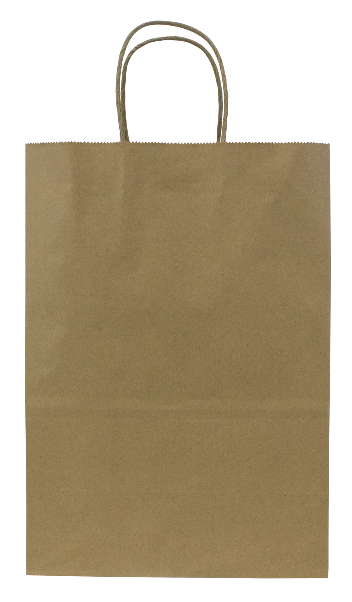 Karat Earth Paper Shopping Bag w/ Handles -  Medium | 9.6W x 13.4H x 5.3G | Kraft