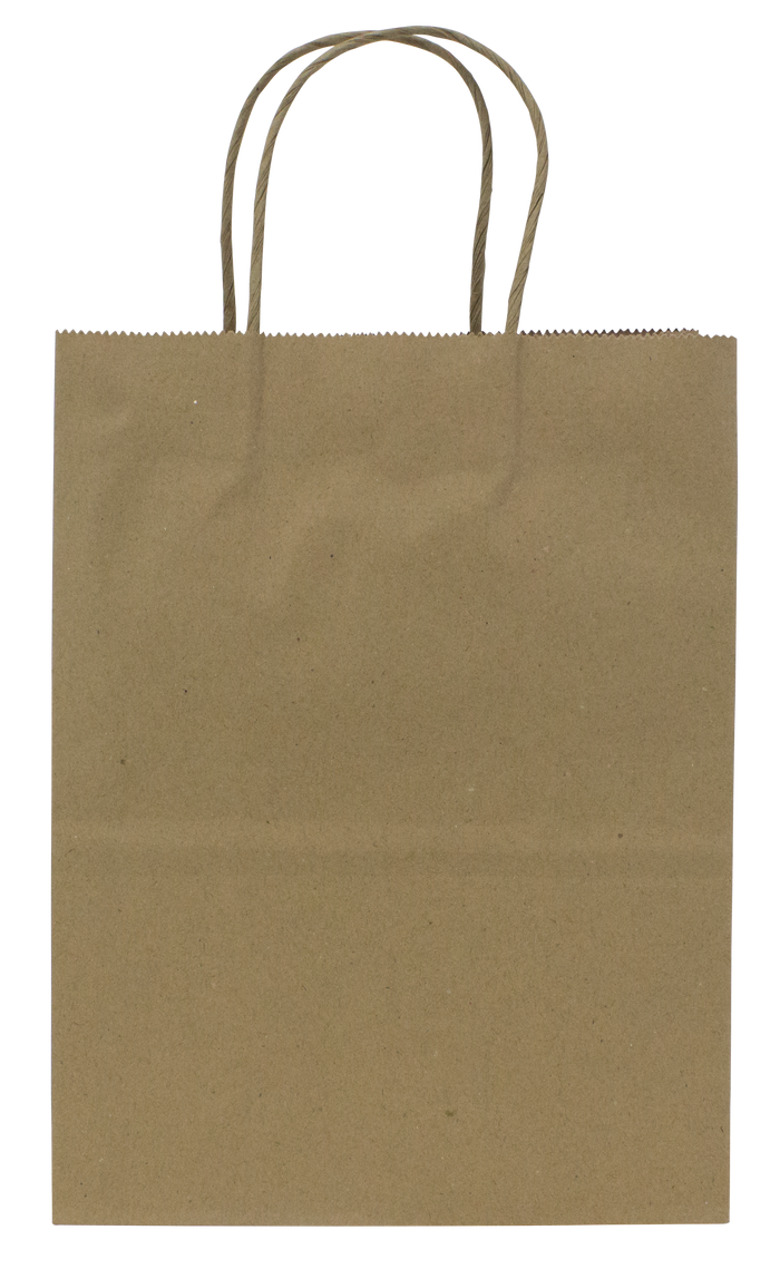 Karat Earth Paper Shopping Bag w/ Handles -  Small | 8.1W x 10.6H x 4.5G | Kraft