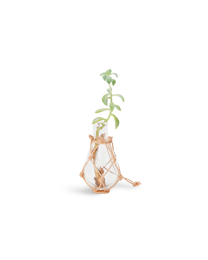 Kjeldahl Flask - 100ml