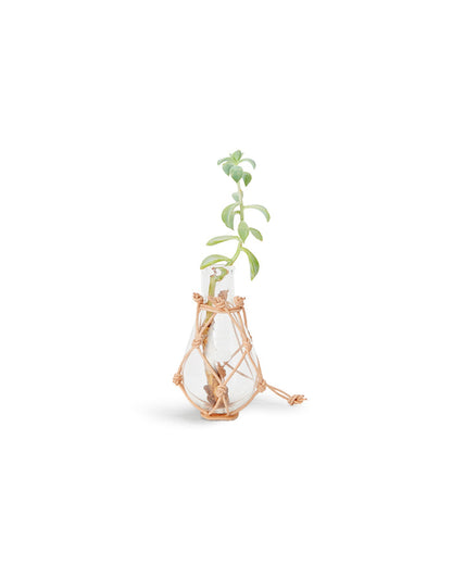 Kjeldahl Flask - 100ml
