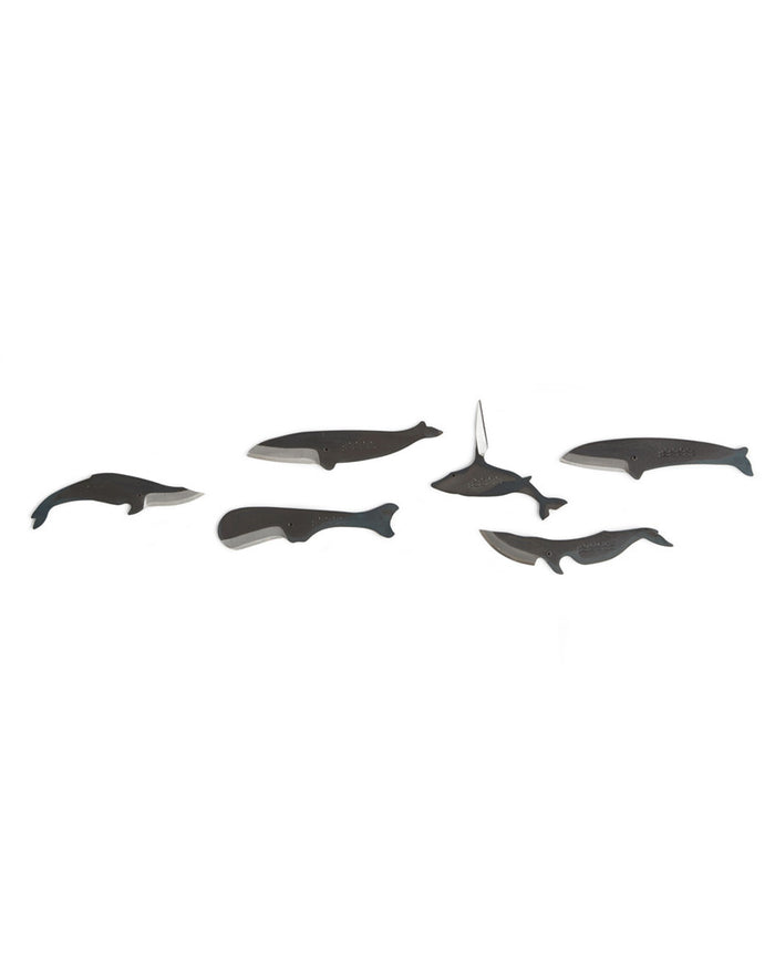 Kujira Knife - Mink Whale 2 (OUT OF STOCK)