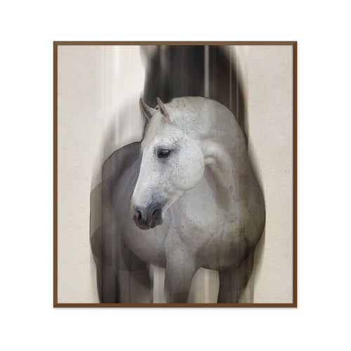 Lady Gray 1 Wall Art