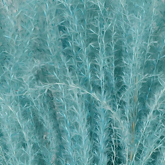 Light Blue Dried Eulalia Grass