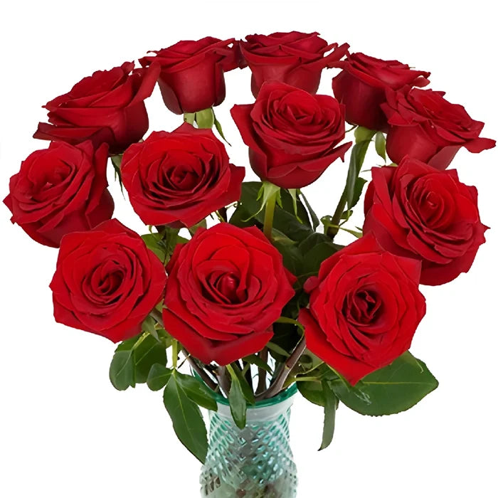 Love Song Red Rose