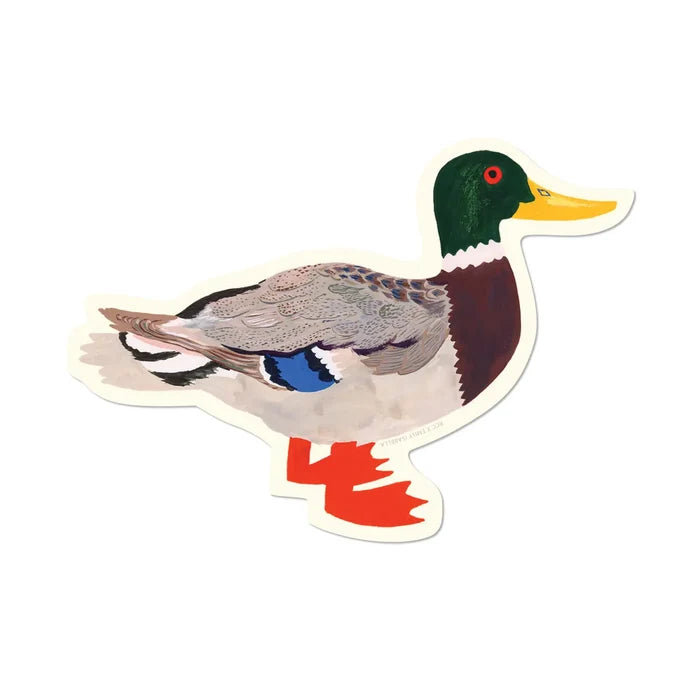 Mallard Duck Sticker