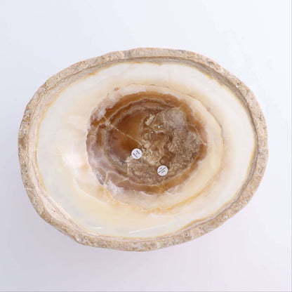 Mexican Onyx/Calcite Bowl 10" with warm amber and honey-toned banding, hand-carved and unique.