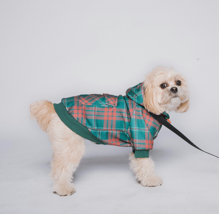 Mistletoe Dog Hoodie