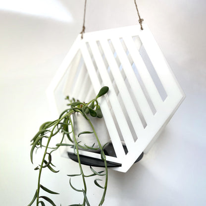 Modern Hanging Planter