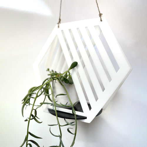 Modern Hanging Planter