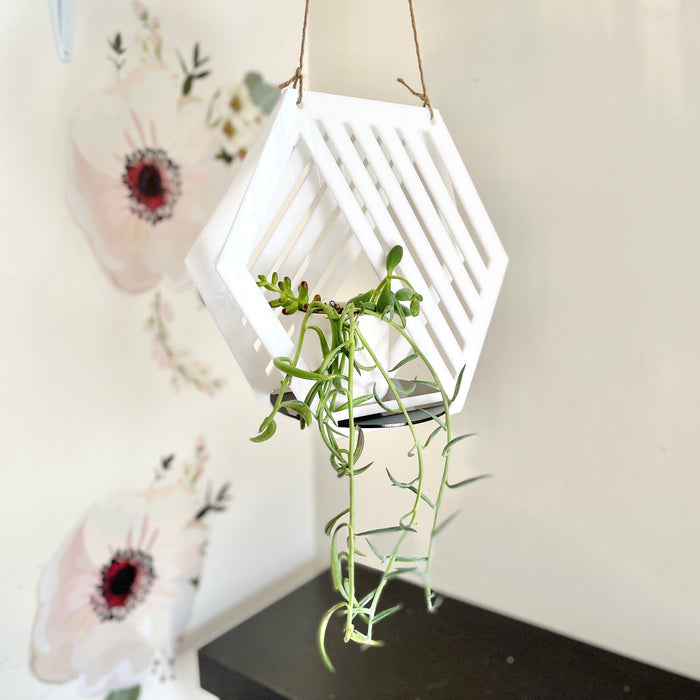 Modern Hanging Planter