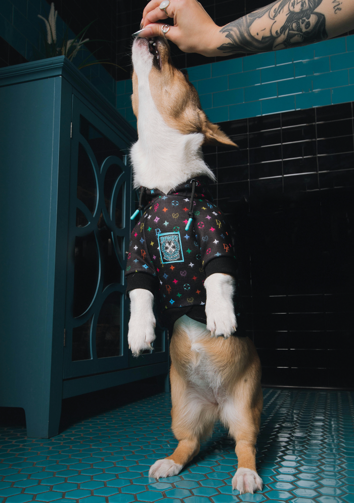 Multi Drip Bougie Dog Hoodie