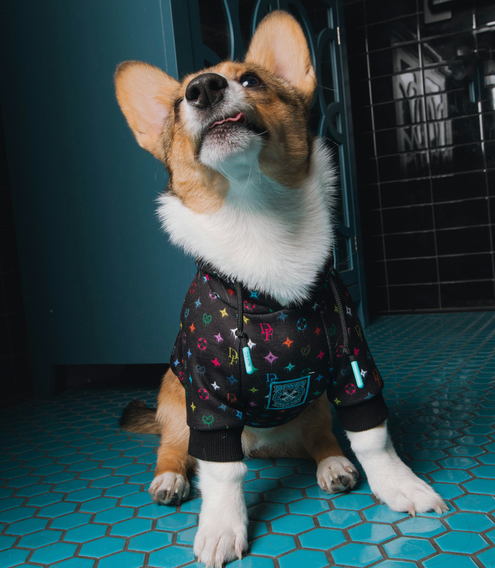 Multi Drip Bougie Dog Hoodie