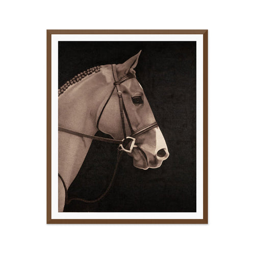Mustang Muse 1 Wall Art