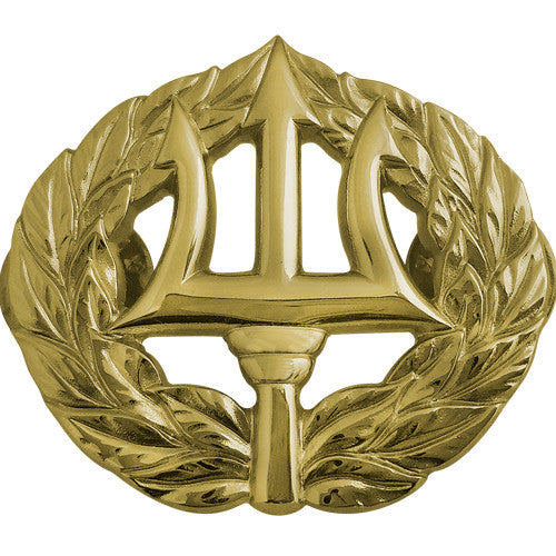 Navy Command Ashore Insignia Badges