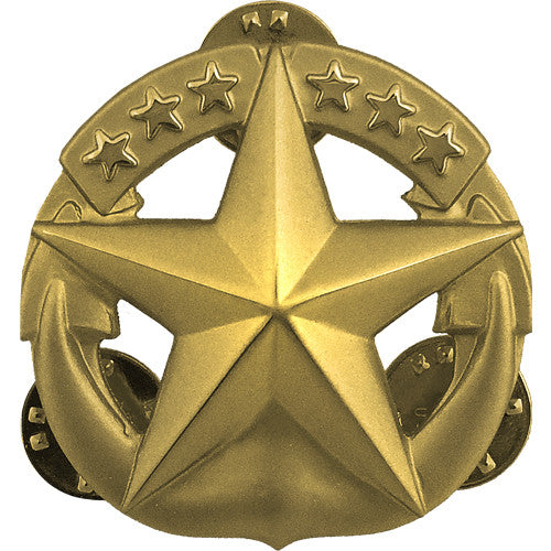Navy Command at Sea Insignia Badges