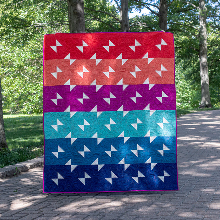Picnic Punch Quilt Bundle | Trace Creek Quilting | Cover Quilt