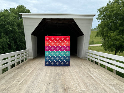 Picnic Punch Quilt Bundle | Trace Creek Quilting | Cover Quilt