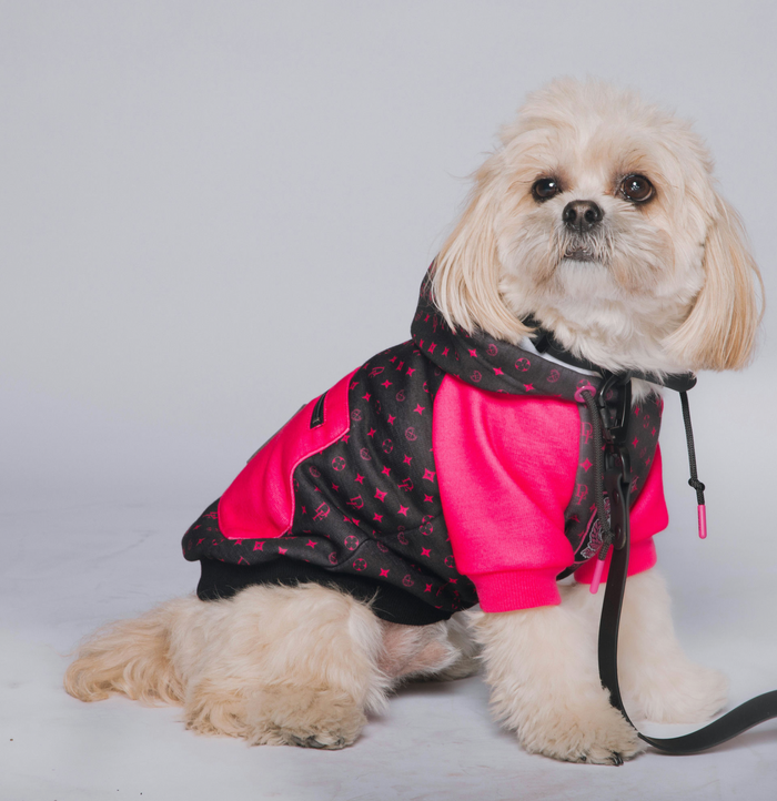 Pink & Black Bougie Dog Hoodie