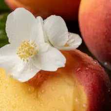 Rose Amber Patchouli Roll-on Perfume Fragrance Oil | Valentines