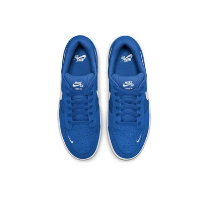 Blue low-top sneaker pair, lace-up front with Nike Swoosh and padded tongue.