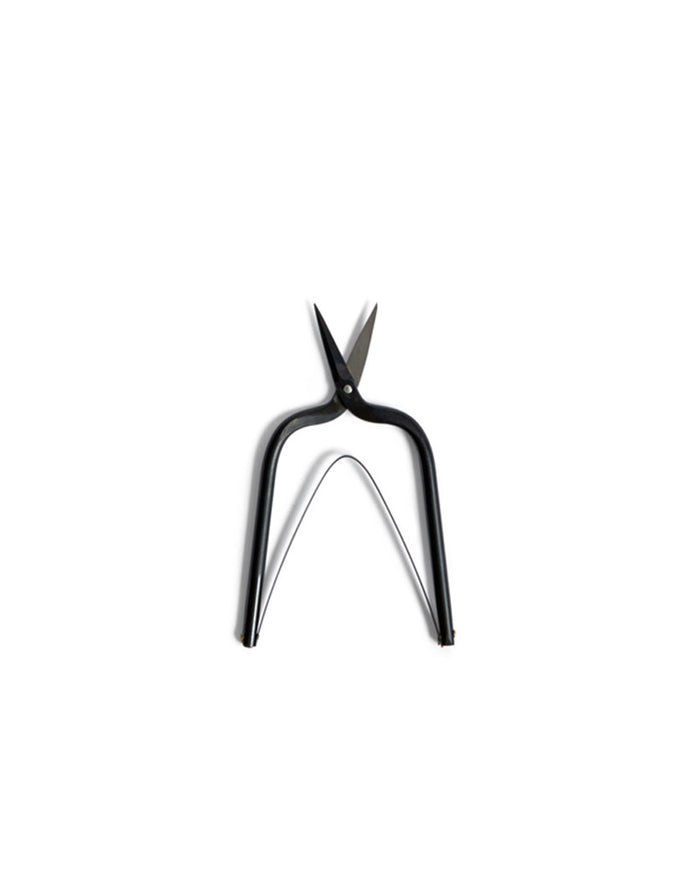Shippou Cloisonné Scissors