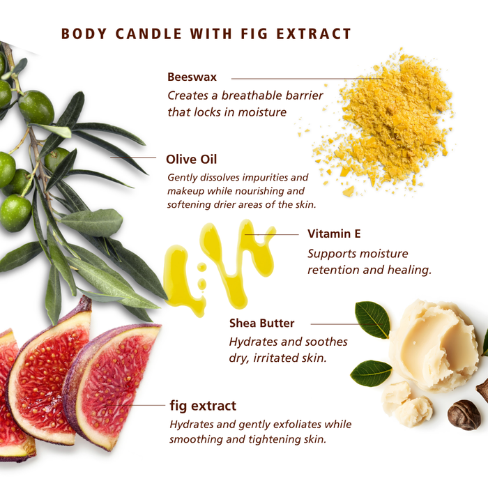 SKN071A SKNLOGIC Fig Soy Body Massage Candle | Ingredient infographic for a body candle with fig extract, showing olives, fig slices, shea butter, beeswax powder, and a drop of oil with text labels explaining the ingredients and benefits on a white background.