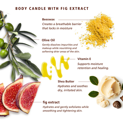 SKN071A SKNLOGIC Fig Soy Body Massage Candle | Ingredient infographic for a body candle with fig extract, showing olives, fig slices, shea butter, beeswax powder, and a drop of oil with text labels explaining the ingredients and benefits on a white background.