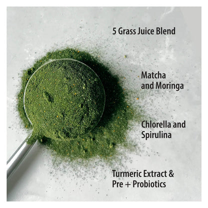 Organic Traditions Super Greens with Turmeric and Probiotics Ingredients