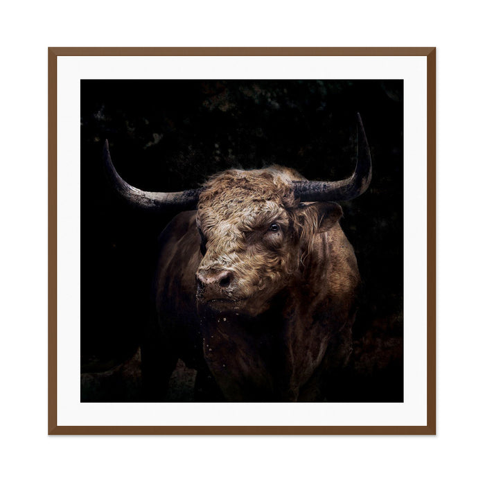 The Bull 1 Wall Art