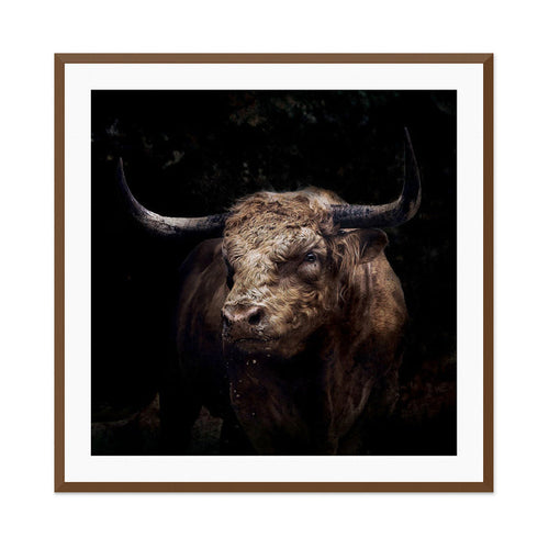 The Bull 1 Wall Art