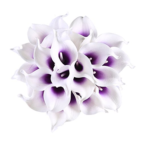 Purple/White / Package with envelope