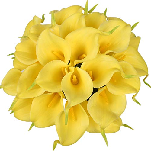 Yellow / Package with envelope