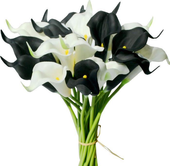 White/Black / Package with envelope