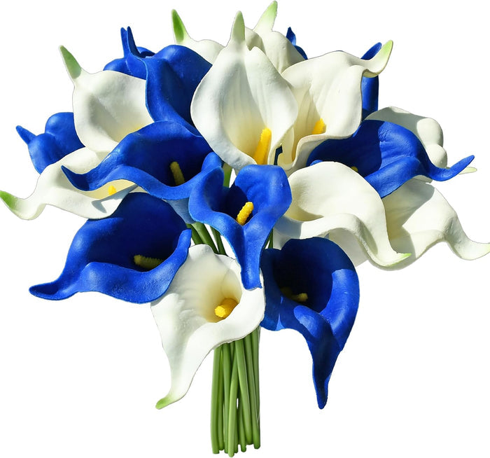 White/Blue / Package with envelope