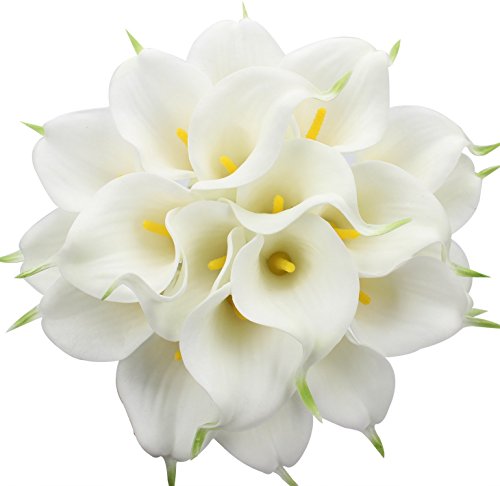 White/Yellow / Package with envelope