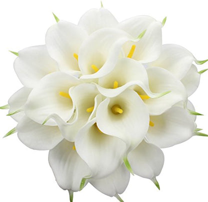 White/Yellow / Package with envelope