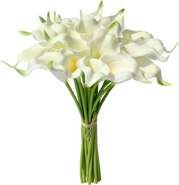 White/Green / Package with envelope