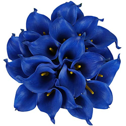 Royal Blue / Package with envelope