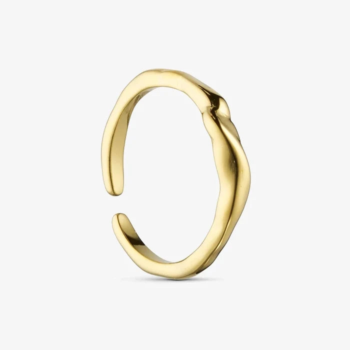 Rusty_Ring-Ringe