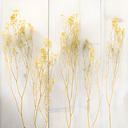 Yellow Dried Baby's Breath Flower