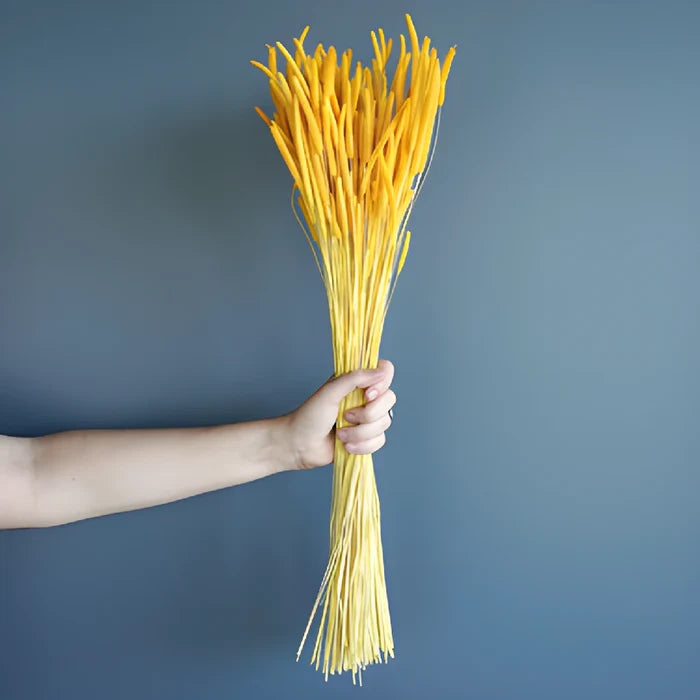 Yellow Dried Timothy Grass
